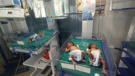 woman gave birth to four children