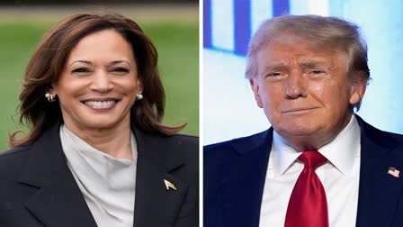 Donald Trump Kamala Harris