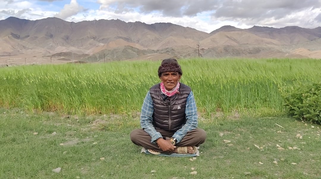 Livestock Traditions Fade in Ladakh’s Hanle Amid The Last Echoes of a Vanishing Past