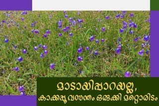 KANNUR THANNUPPARA KAKKAPPOO  KANNUR THANNUPPARA ROUTE  KANNUR MADAYI PARA  കണ്ണൂർ തണ്ണൂപ്പാറ