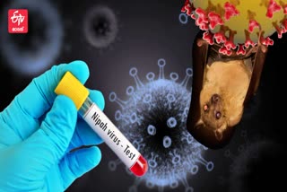 NIPAH  NIPAH VIRUS  HEALTH  HEALTH MINISTER