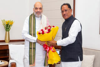 Chhattisgarh CM Meets Amit Shah; Discusses Anti-Naxal Ops