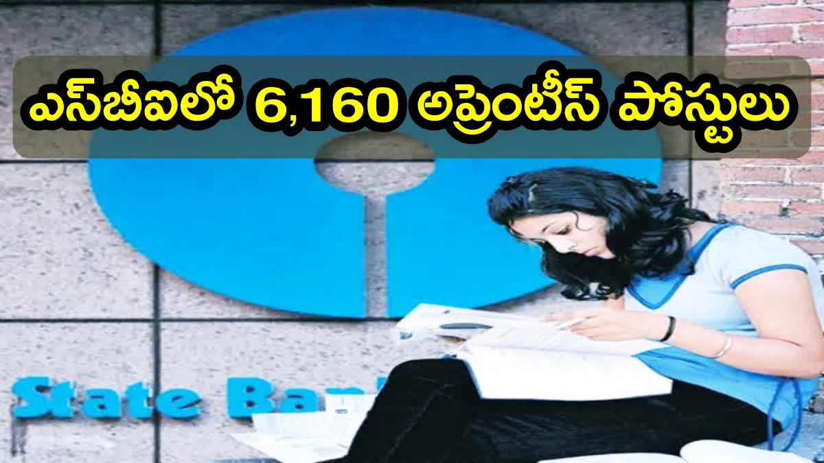 SBI Apprentice Recruitment 2023 FOR 6160 vacancies