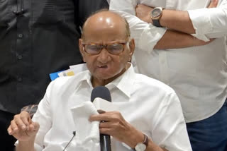 Sharad Pawar slams BJP for its 'Ghamandia' barb at INDIA grouping