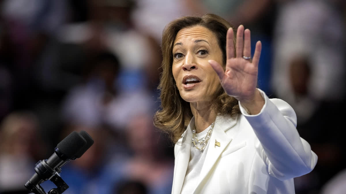 US Vice President Kamala Harris said former President Donald Trump disrespected sacred ground in his recent appearance at Arlington National Cemetery, where the Republican nominee took and distributed images despite a federal prohibition on campaign activity on the grounds