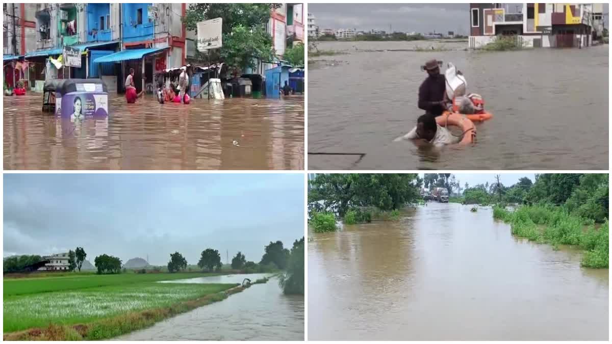 Rains in Joint Krishna District