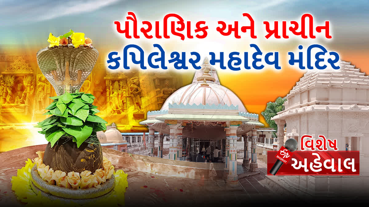 મંદિરનું શ્રાવણ માસ અને મહાશિવરાત્રીના દિવસે વિશેષ મહત્વ રહેલું છે