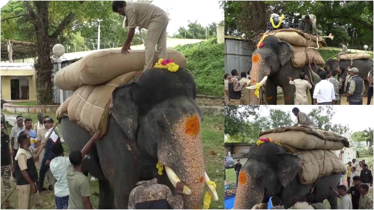 ಮೈಸೂರು ದಸರಾ