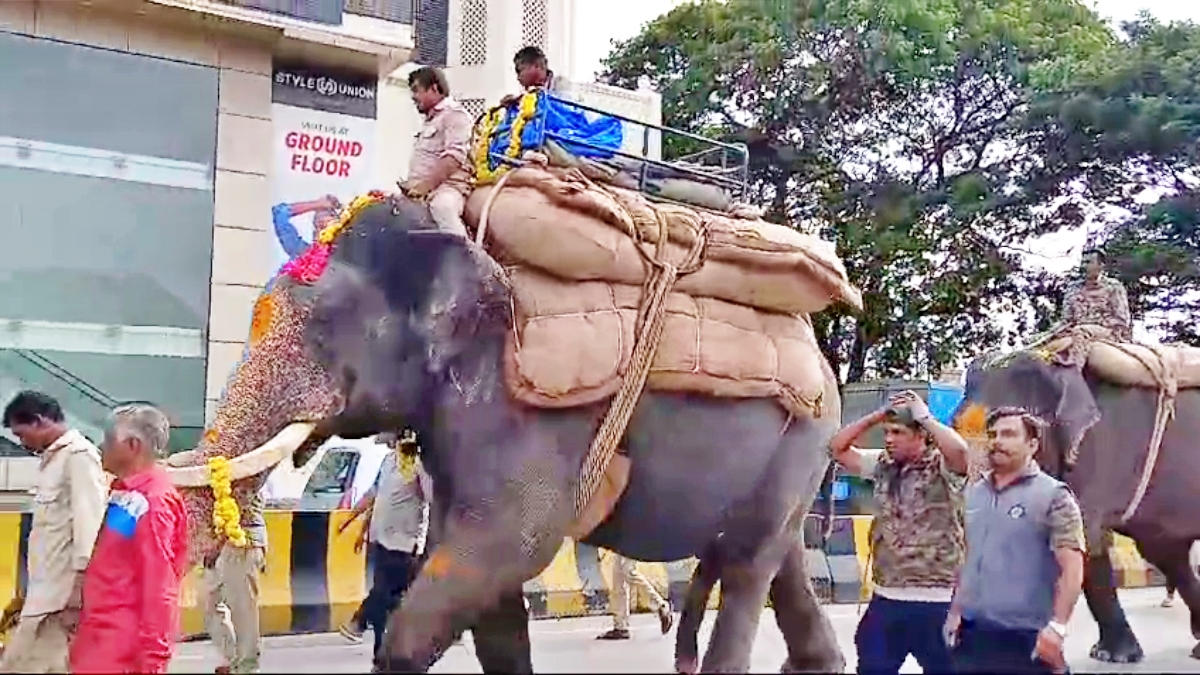 ತಾಲೀಮಿನಲ್ಲಿ ಗಜಪಡೆ