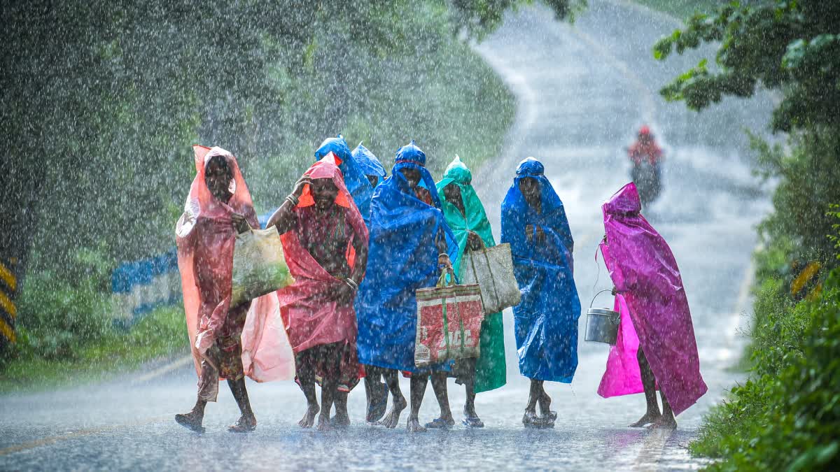 Kerala Rain Update  Kerala rains  Weather update Kerala  Kerala Rain Update  കാലാവസ്ഥ കേന്ദ്രം  യെല്ലോ അലര്‍ട്ട്  കേന്ദ്ര കാലാവസ്ഥ വകുപ്പ്  Yellow alert district Kerala