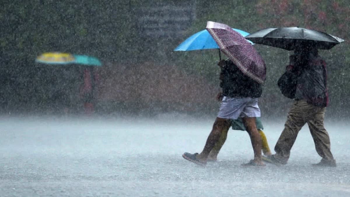 Kerala Rain Updates  Yellow alert in districts  സംസ്ഥാനത്ത് യെല്ലോ അലര്‍ട്ട്  കാലാവസ്ഥ നിരീക്ഷണ കേന്ദ്രം  Weather Observatory  weather updates  യെല്ലോ അലര്‍ട്ട് പ്രഖ്യാപിച്ചു  yellow alert has been announced  കൂടുതല്‍ മഴയ്‌ക്ക്‌ സാധ്യത  Chance of more rain