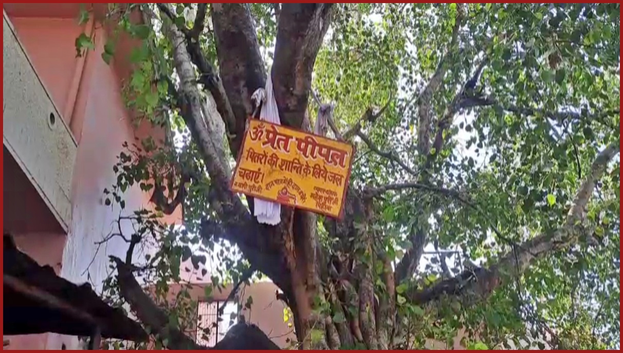 Shraddha Paksha 2023 Pind Daan in Kurukshetra Shraddha in Kurukshetra