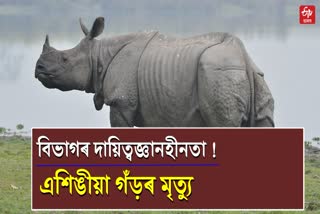 Rhino died in Nagaon