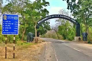 betla-national-park-reopened-three-months-deputy-director-prajeshkant-jena-inaugurated-park