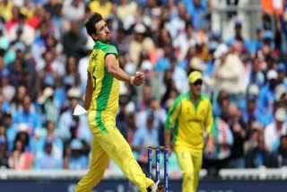 Cricket World Cup 2023  Most Wickets In Cricket World Cup History  Cricket World Cup Bowling Record  Mitchell Starc  Top Wicket Taker In ODI World Cup History  ഏകദിന ക്രിക്കറ്റ് ലോകകപ്പ് 2023  ലോകകപ്പില്‍ കൂടുതല്‍ വിക്കറ്റ് നേടിയവര്‍  മിച്ചല്‍ സ്റ്റാര്‍ക്ക് ഏകദിന ലോകകപ്പ് റെക്കോഡ്  ക്രിക്കറ്റ് ലോകകപ്പ് ബൗളിങ് റെക്കോഡ്  ലോകകപ്പില്‍ ബൗളര്‍മാരുടെ പ്രകടനം