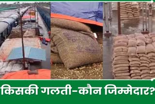 FCI wheat drenched in rain at Pipradih Railway Rack Point in Koderma