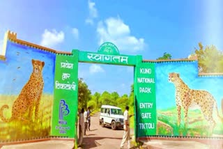 2 gates of Kuno Sanctuary opened