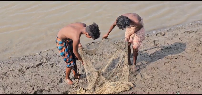 ઝીંગા ઉદ્યોગમાં મોટી નુકસાનીની ભીતિ