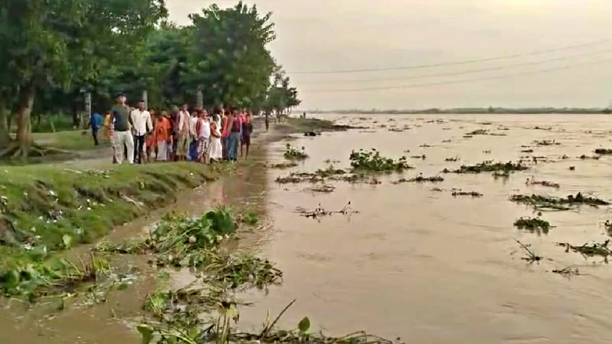 Brothers Died Due To Drowning