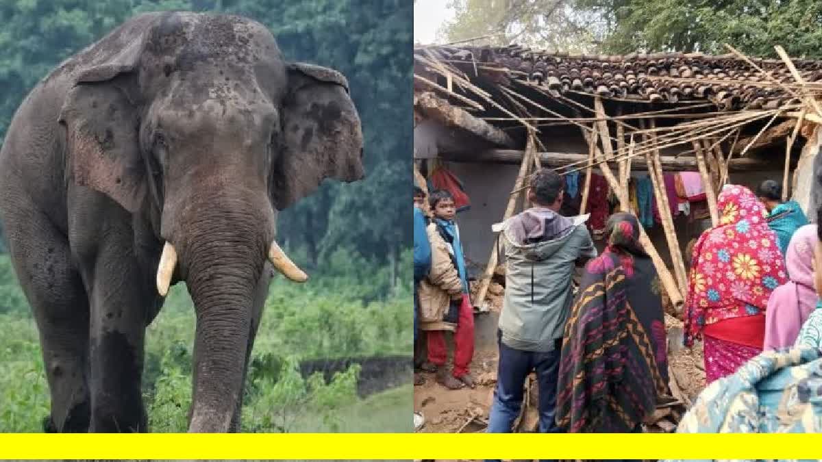 Human Wildlife Conflict In Eastern Ghats