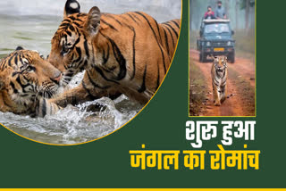 TIGER RESERVES IN MADHYA PRADESH