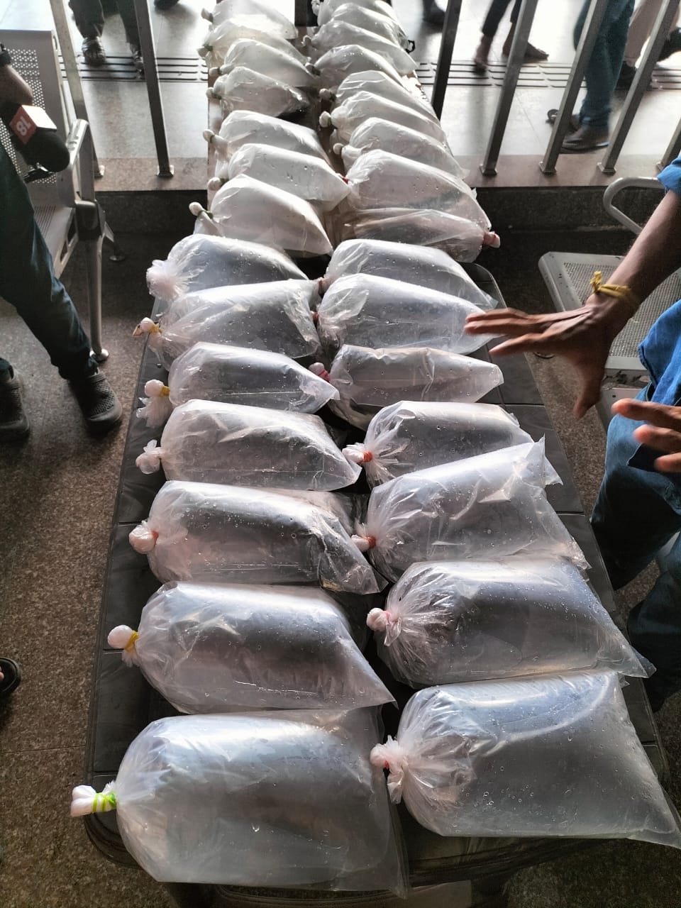 Three smugglers, with endangered fish, arrested at Guwahati railway station