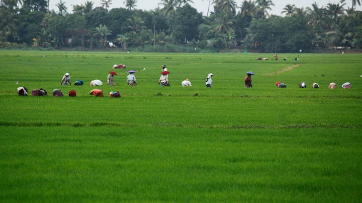 WHAT IS FARM TOURISM  ഫാം ടൂറിസം കോഴിക്കോട്  FARM TOURISM kerala  കക്കാടംപൊയിൽ ഫാം ടൂറിസം