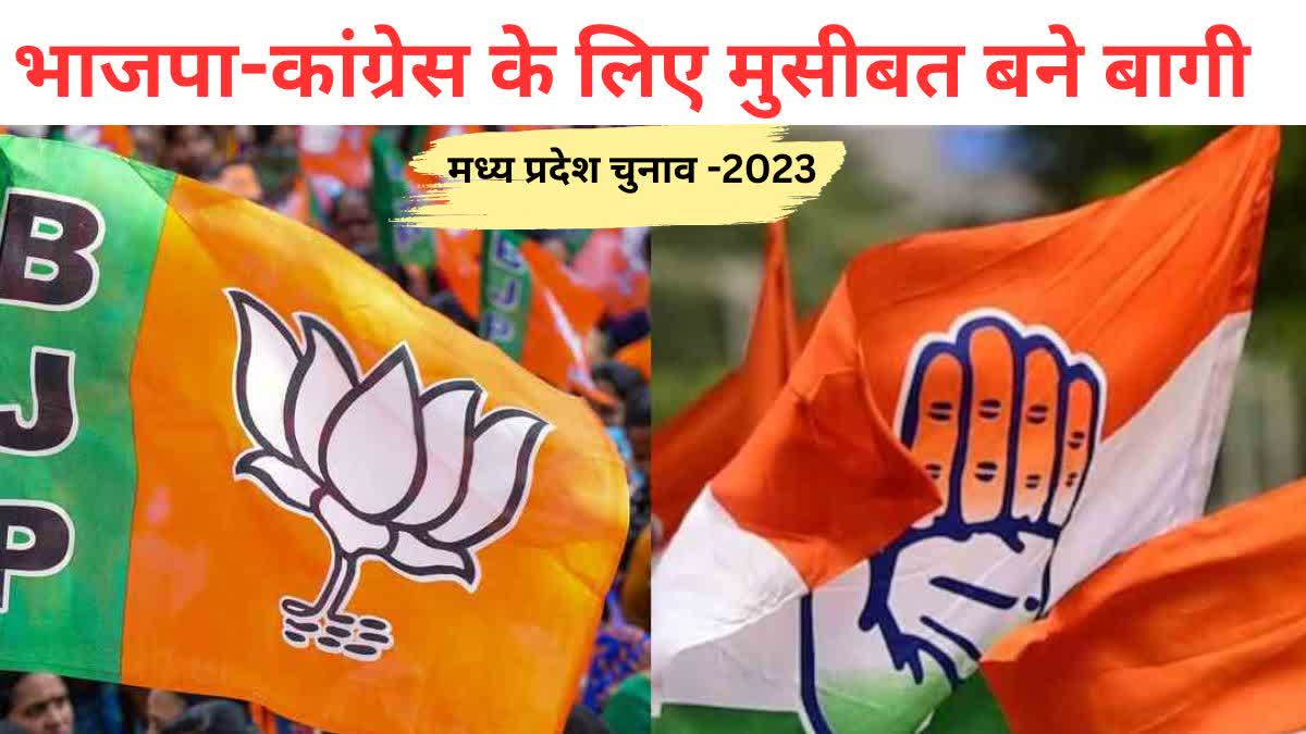 MP Election 2023