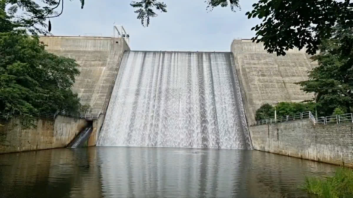 Sothuparai Dam water issue