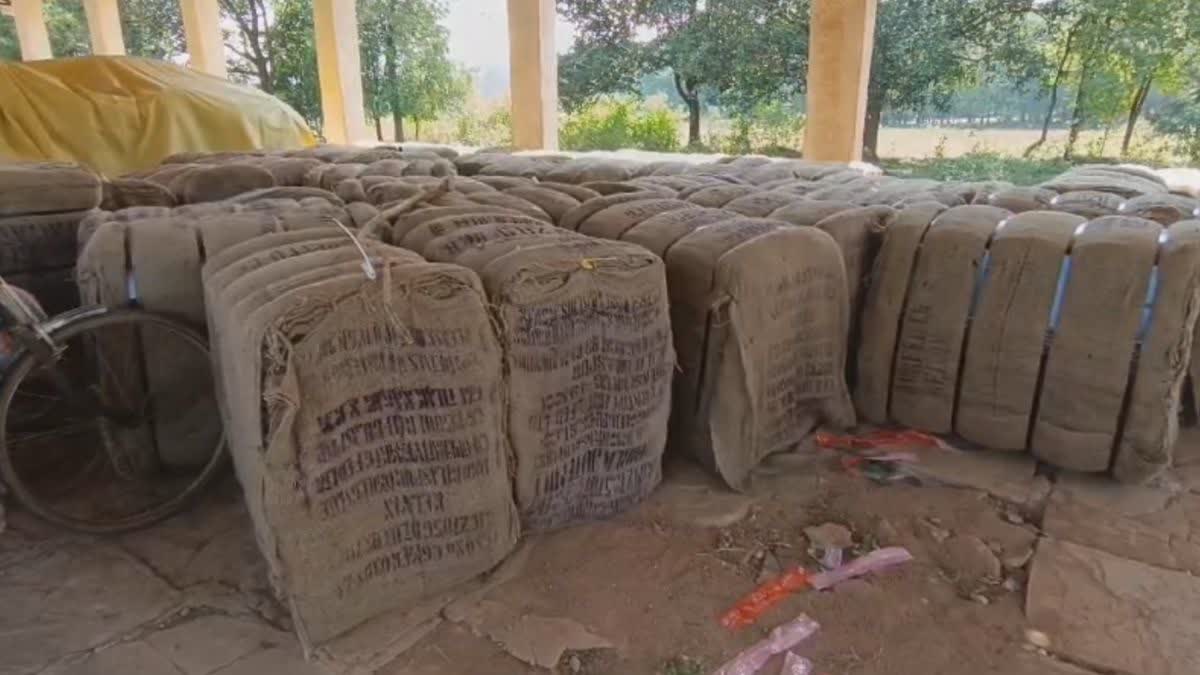 Paddy procurement started in Chhattisgarh