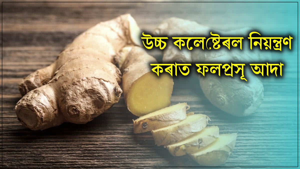 Ginger will cure high cholesterol