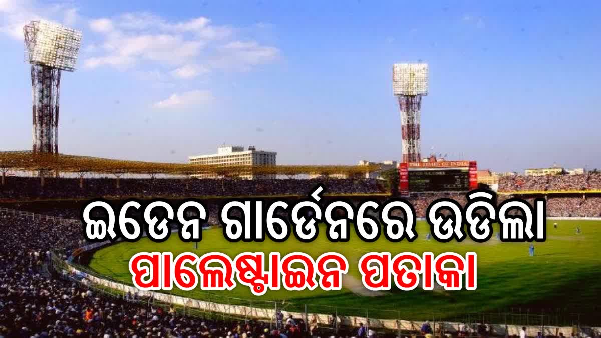 World Cup 2023: ଇଡେନ ଗାର୍ଡେନରେ ଉଡିଲା ପାଲେଷ୍ଟାଇନ ପତାକା, ଲାଇମ ଲାଇଟରେ ପାକ୍ ଦମ୍ପତି