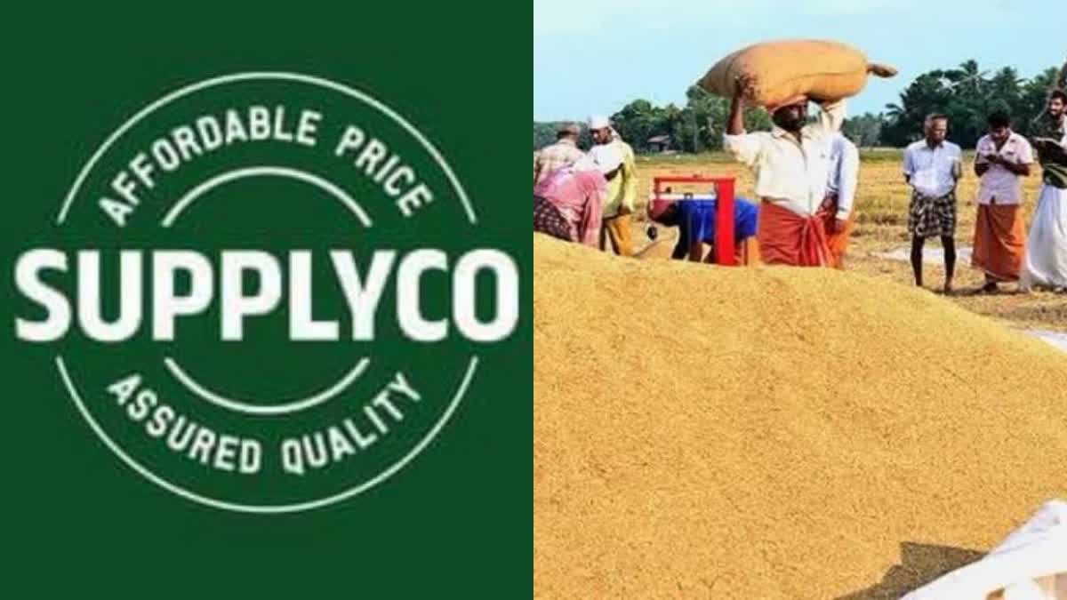 nellu sambaranam supplyco  Supplyco as nodal agency for paddy procurement  സപ്ലൈകോ  Supplyco  paddy procurement  നെല്ല് സംഭരണം  നെല്ല് സംഭരണത്തിനുള്ള നോഡൽ ഏജൻസിയായി സപ്ലൈകോ  nodal agency  Supplyco Paddy Procurement