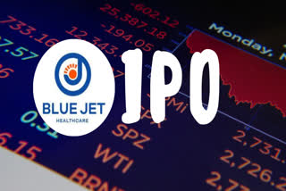 Blue Jet Healthcare shares jump
