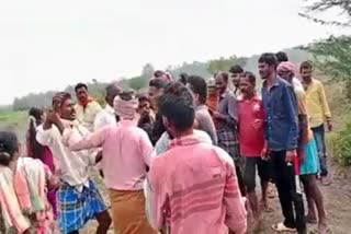 Tiger attack on farmer Villagers attempt to attack forest department staff