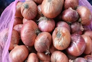 Onion Price Hike : પાછલા એક સપ્તાહ દરમ્યાન મક્કમ રીતે આગળ વધતા ડુંગળીના ભાવો, જૂનાગઢ એપીએમસીમાં ભાવ જાણો
