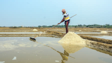 Humans are disrupting the natural "salt cycle" on a global scale, and the influx of salt in streams and rivers is causing an "existential threat".