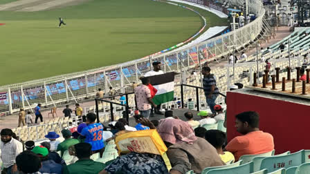 PALESTINE FLAG IN EDEN GARDENS