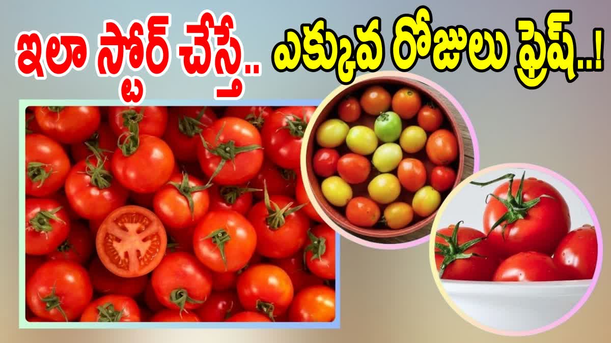 TOMATOES STORAGE TIPS