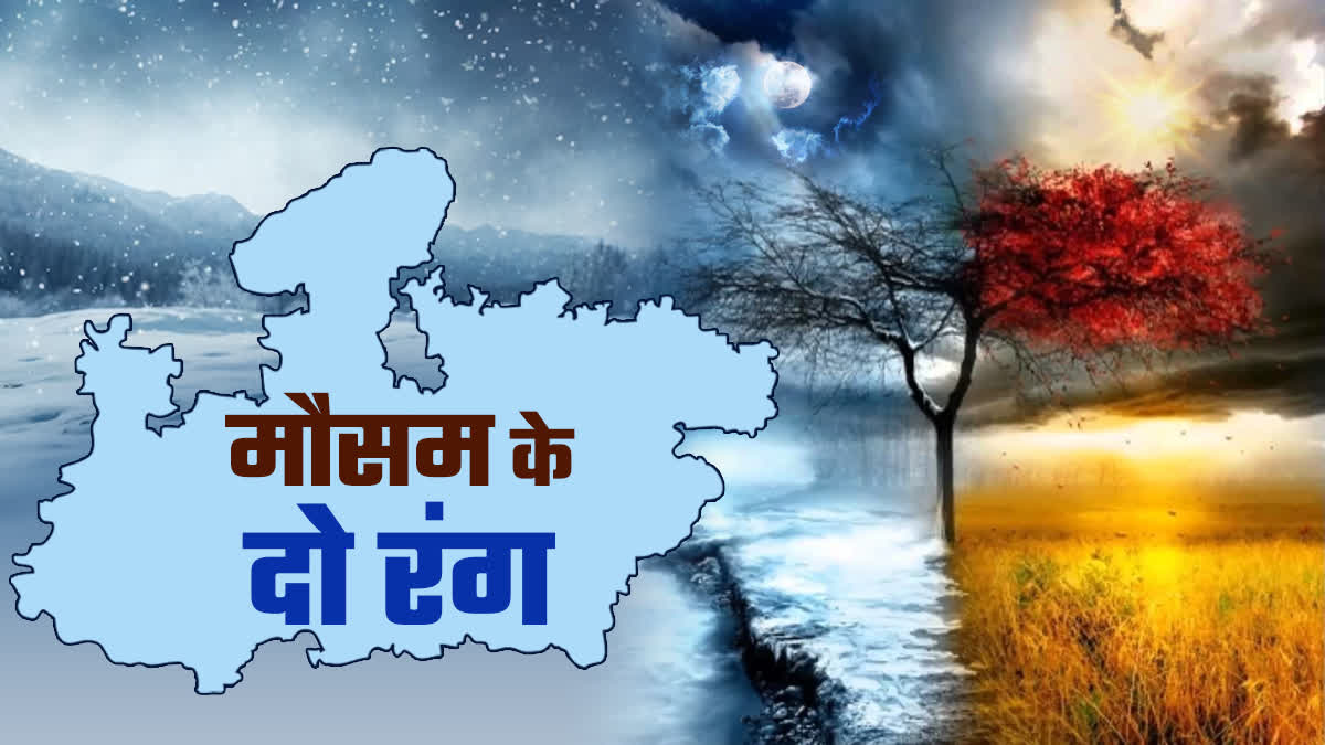 ETV Bharat Live Updates