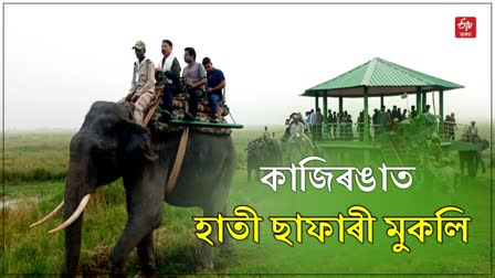 Kaziranga National Park