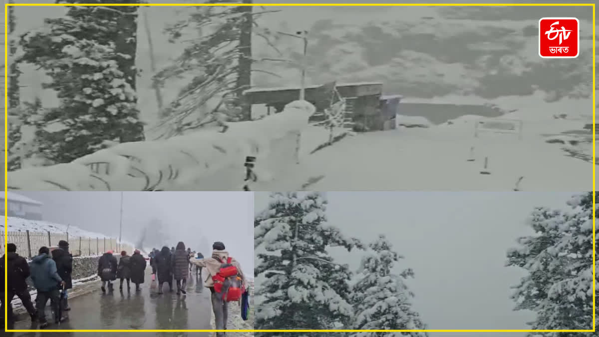 snowfall in Gulmarg cheers tourists