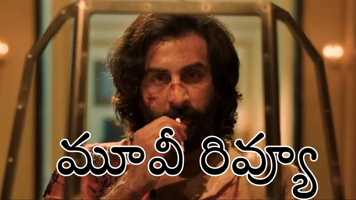 Animal Movie Telugu Review