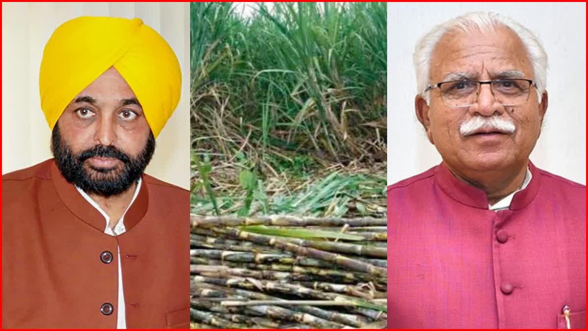 Punjab Govt increased sugarcane prices