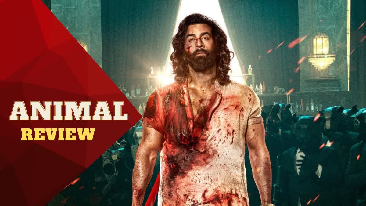 Etv BharatAnimal Review Out