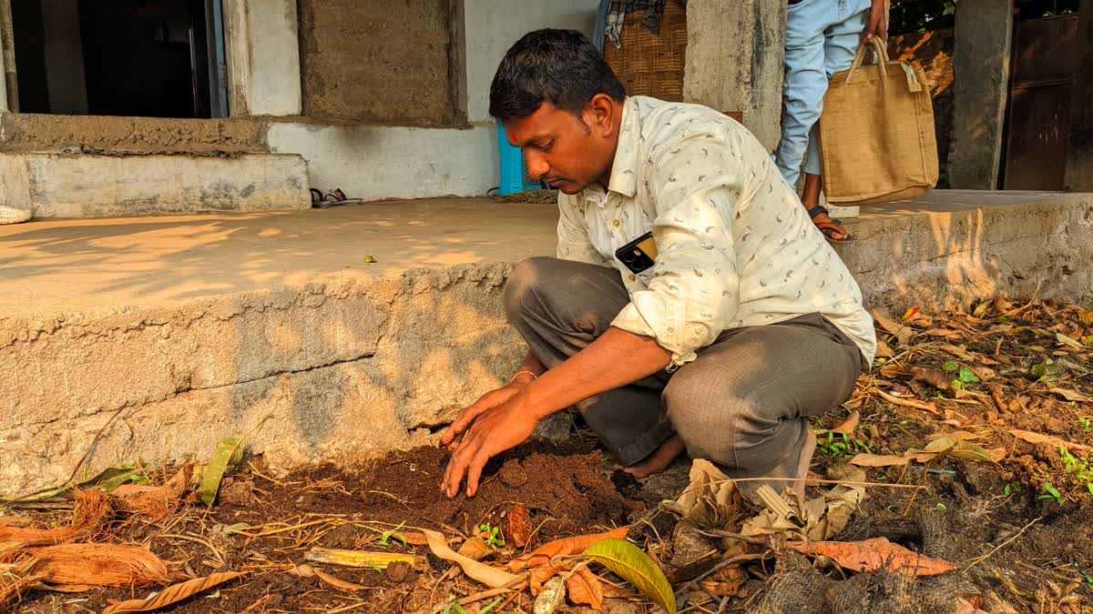 છોટા ઉદેપુરના યુવાને કરી ઓર્ગનિક ખેતી