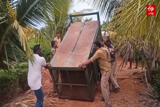 forest department has installed a cage to capture the Hyena near Sathyamangalam