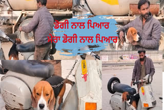 dog lover deepak is life story