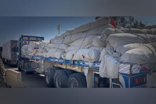 Over 2,700 truckloads of humanitarian aid enter Gaza through Rafah crossing: Egypt