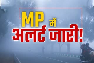 MP Weather Forecast